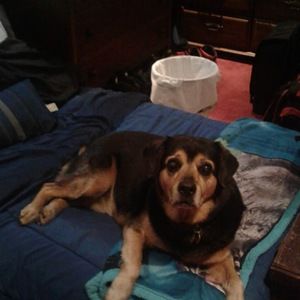 Meet your Posher, Hunter